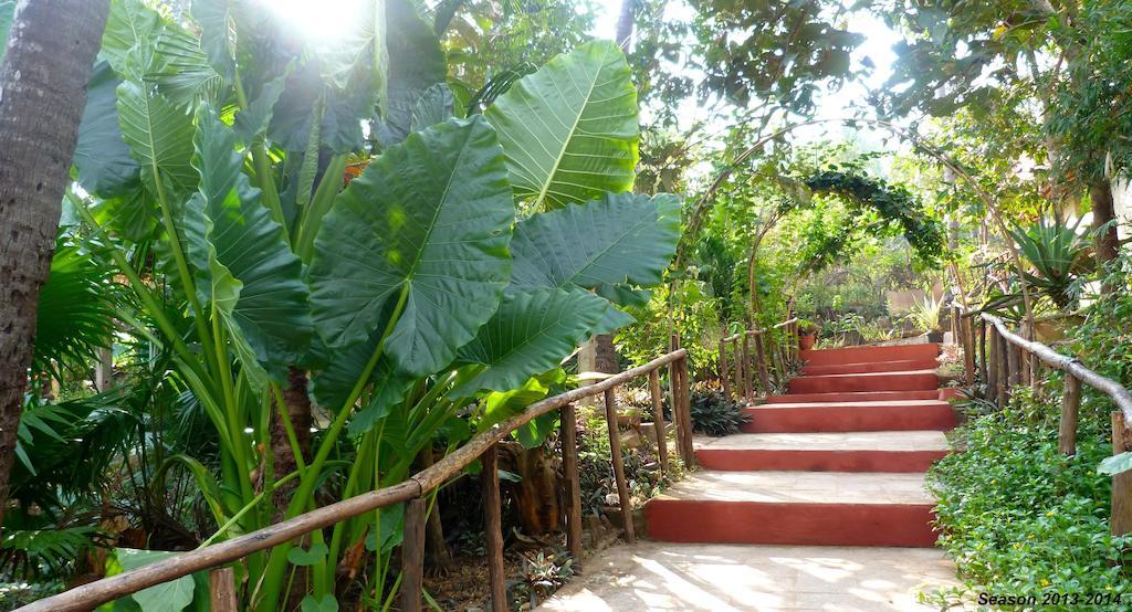 Secret Garden Resort Patnem Beach Exteriér fotografie